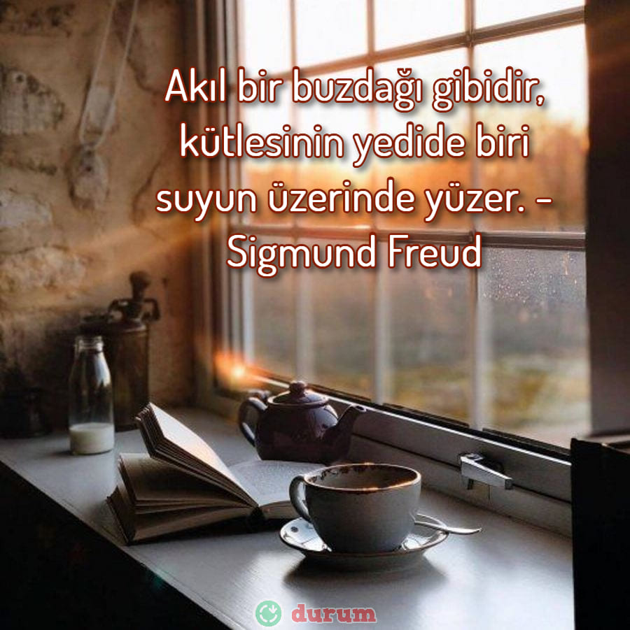 Bilim Adamlarının Sözleri anlamli