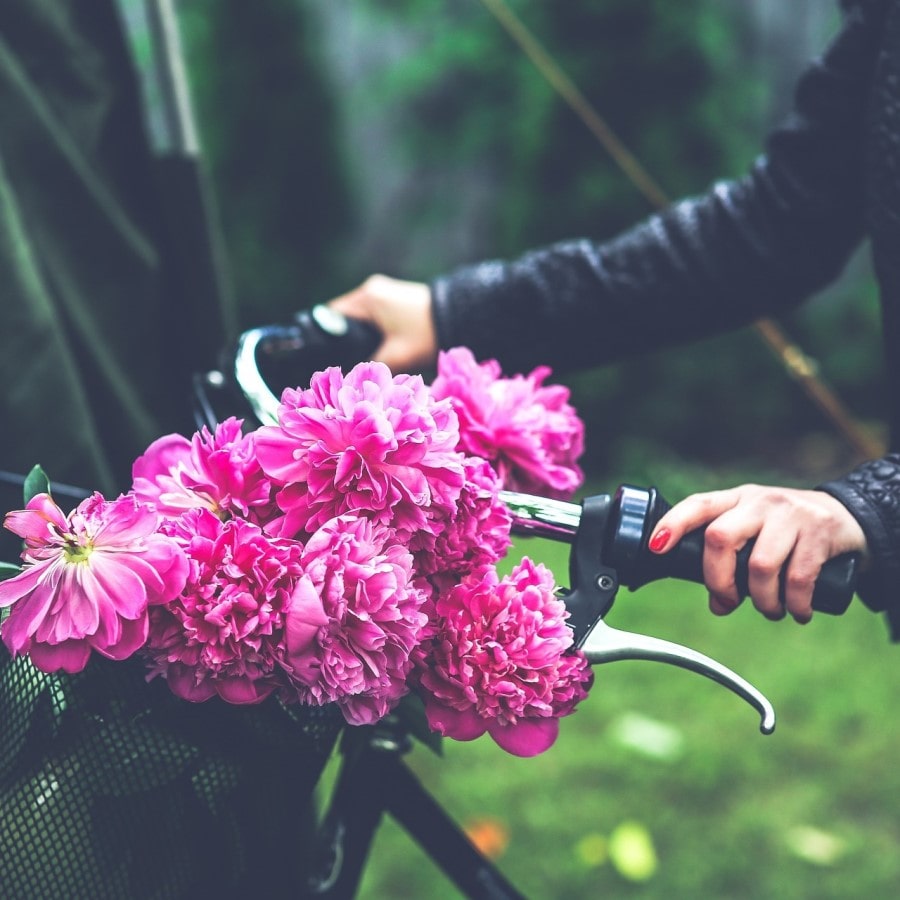 Bisiklet çiçek