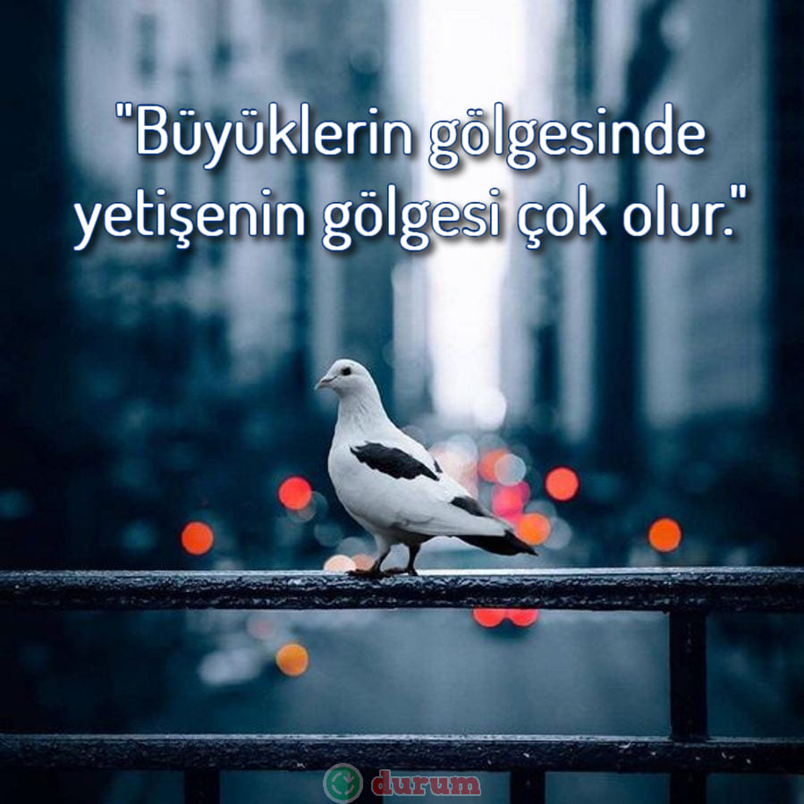 Büyüklere Saygı Sözleri 2023
