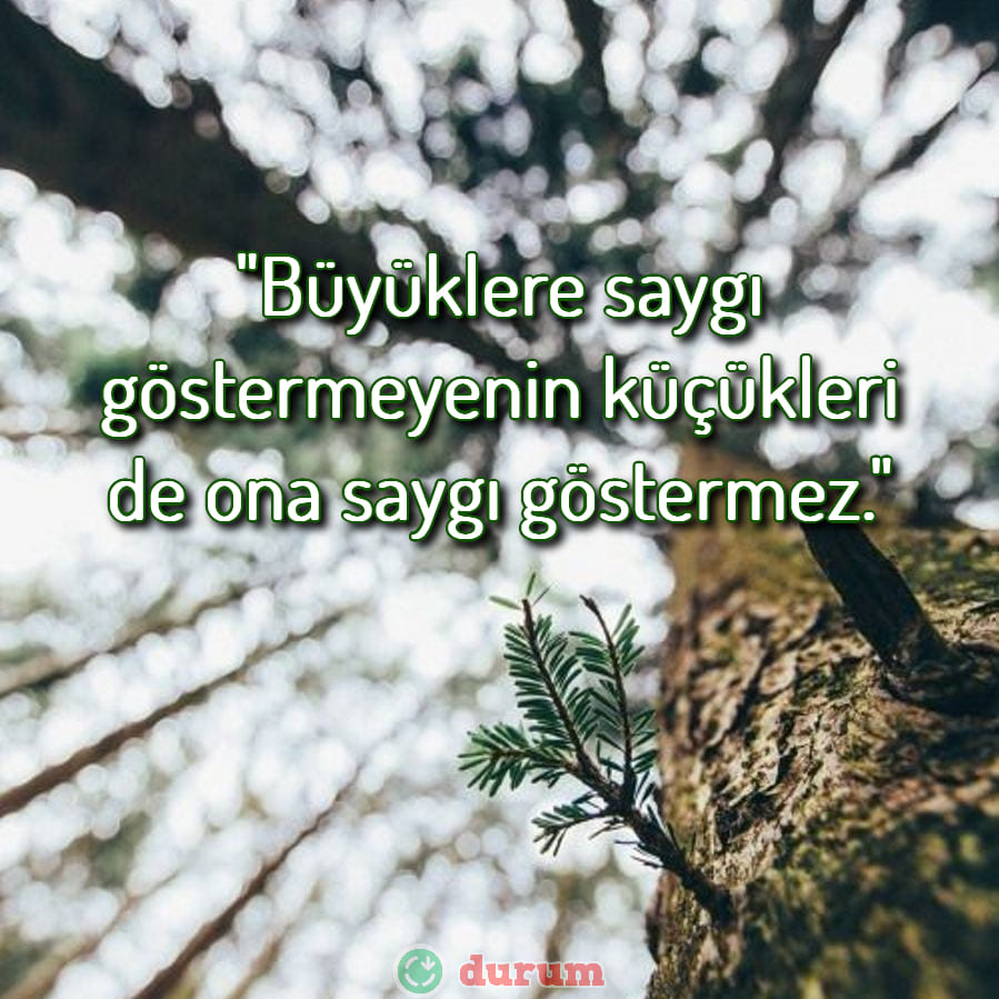 Büyüklere Saygı Sözleri resimli