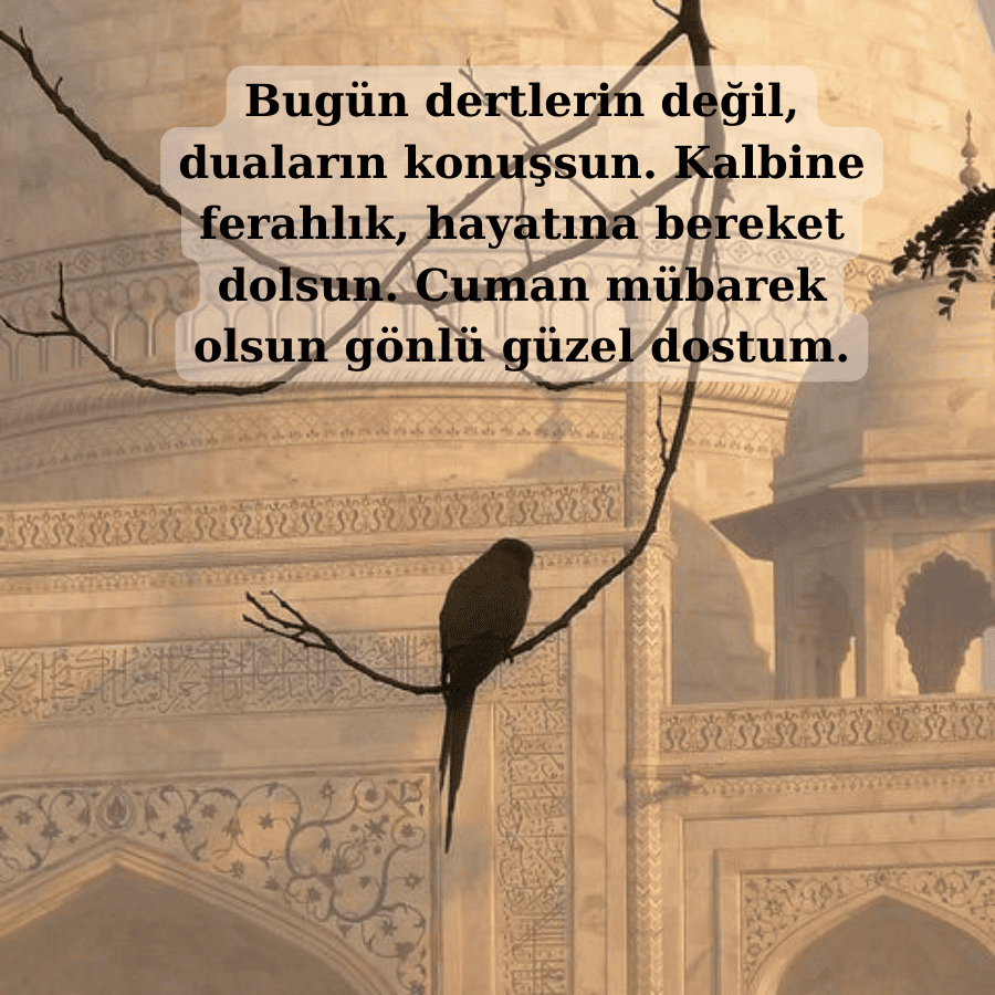 Can Dostlara Hayırlı Cuma Mesajları