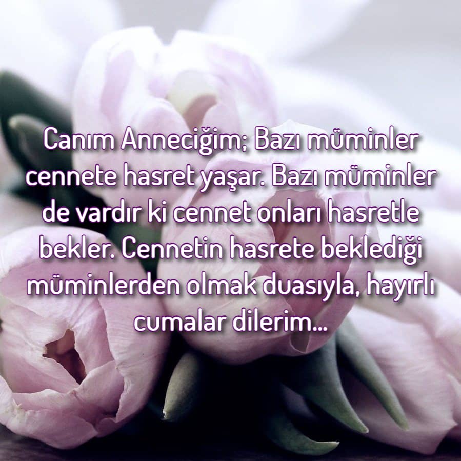 Canım Anneciğim Cuma Mesajları