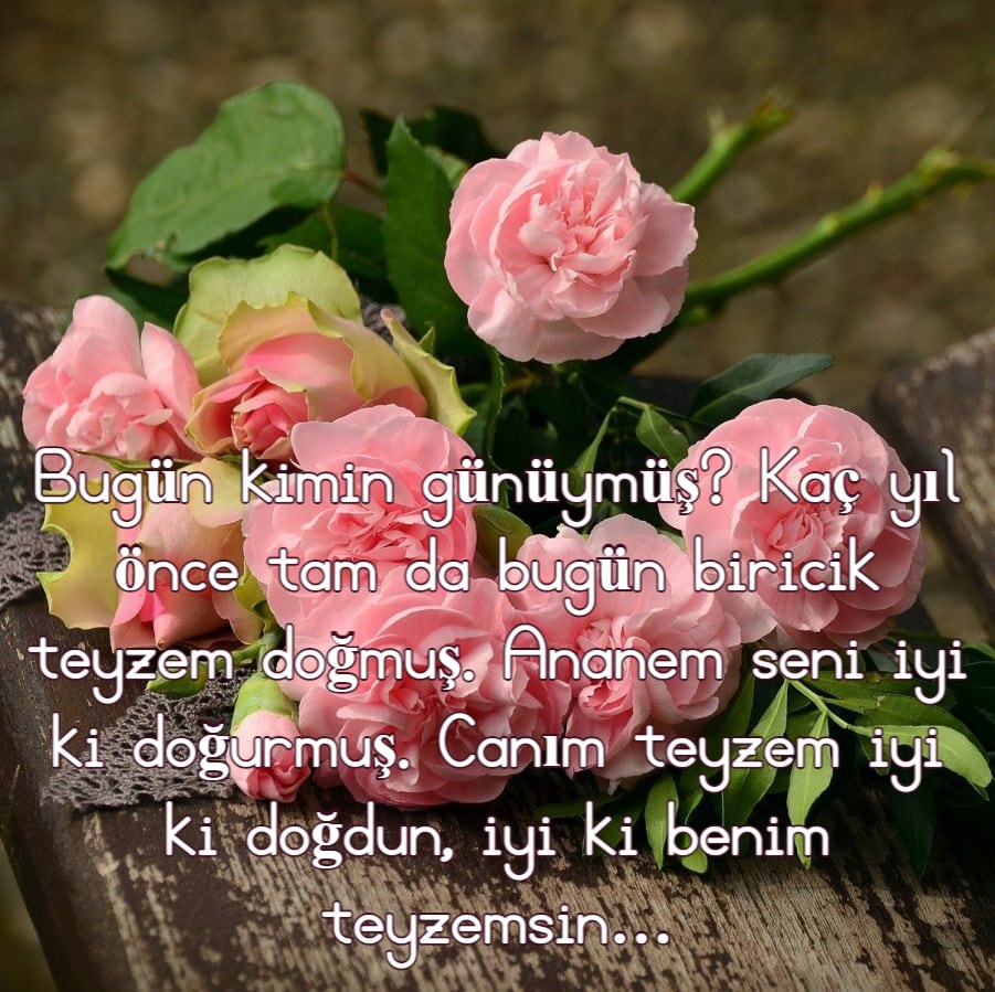 Canım teyzem iyi ki doğdun