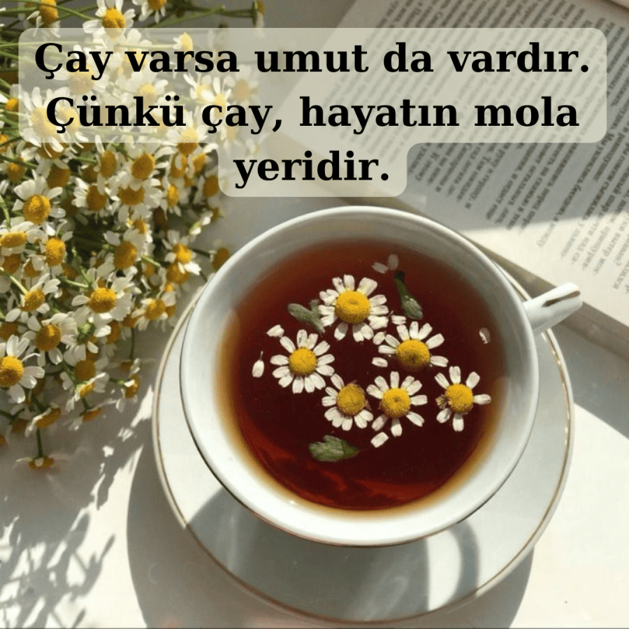Çay Muhabbeti Sözleri
