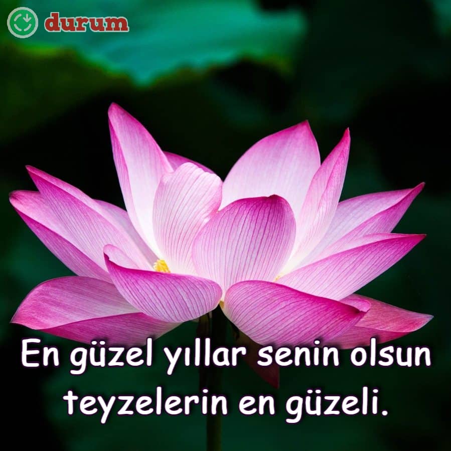 Çiçekli halaya doğum günü mesajı