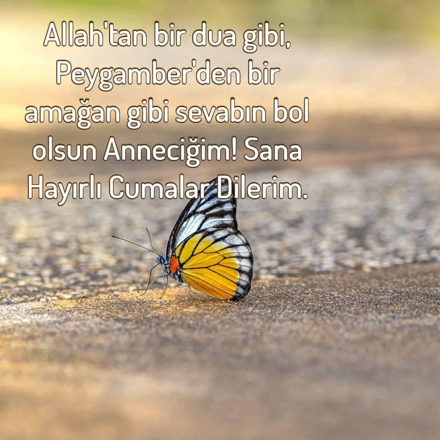 Cumanız mübarek olsun annecigim