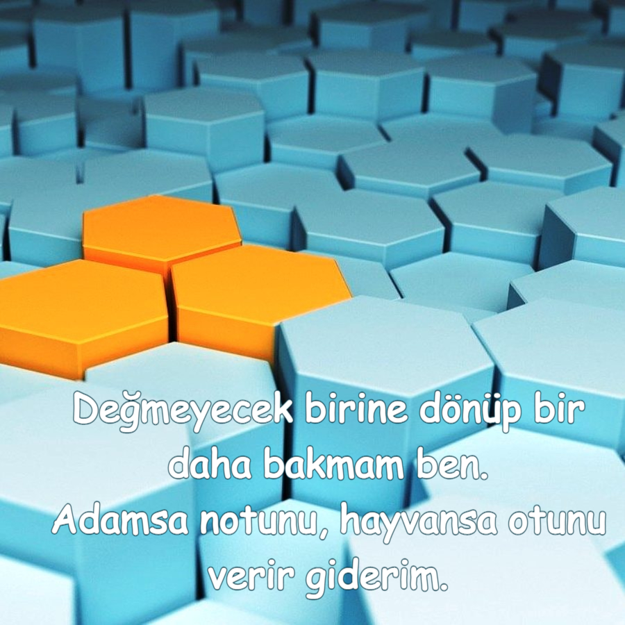 Değmeyecek birine dönüp bir daha bakmam ben.