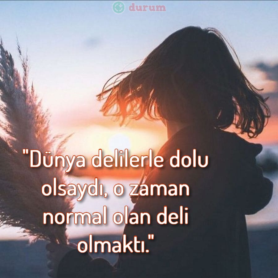 Deli Dolu Çılgın Sözler kisa