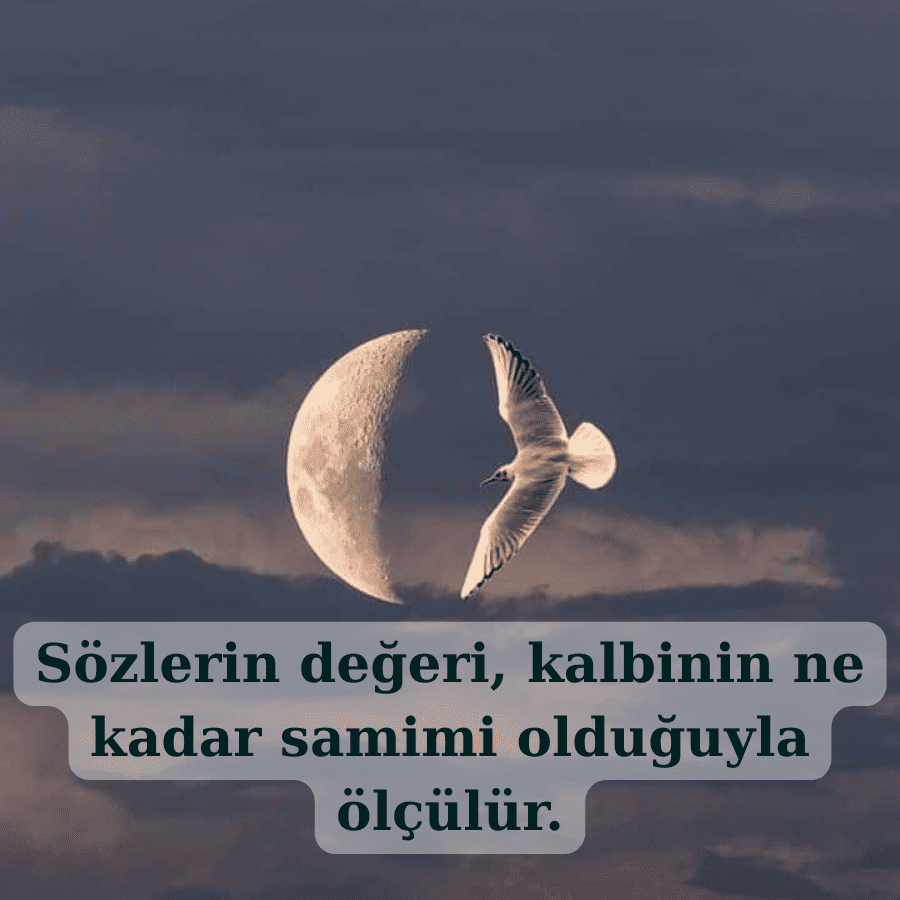 Delikanlı Sözleri indir