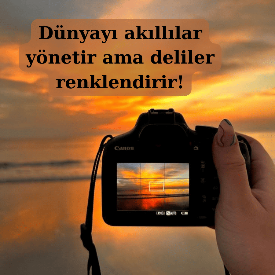 Delilik ve Cesaret