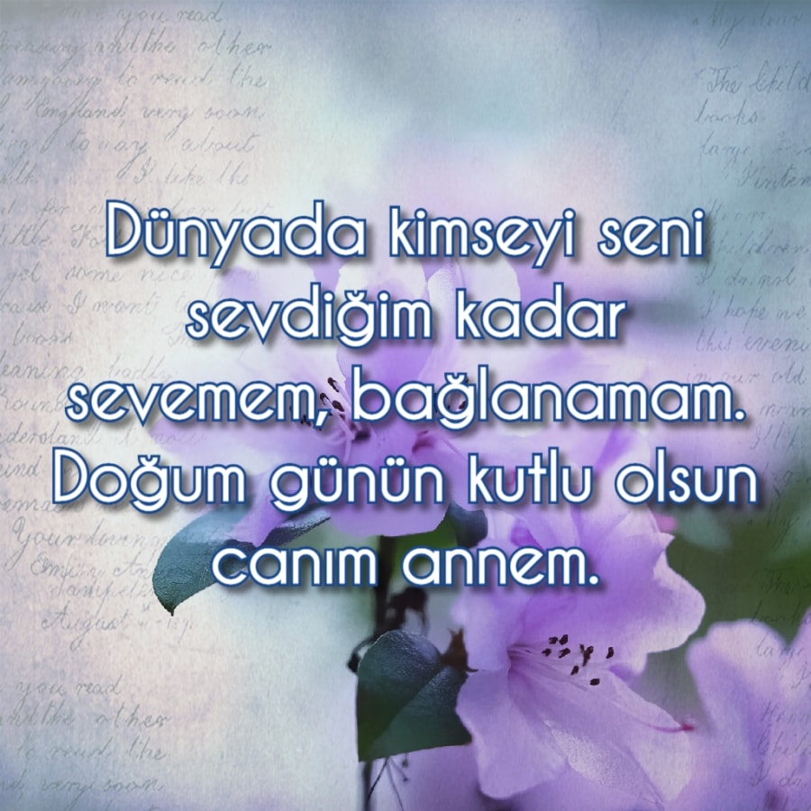 Doğum Günün Kutlu olsun canım annem.