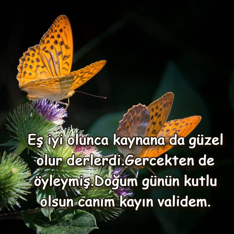 Doğum günün kutlu olsun canım Kaynanacığım