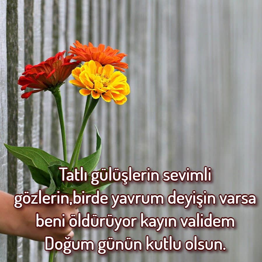Doğum günün kutlu olsun güzel kayın validem