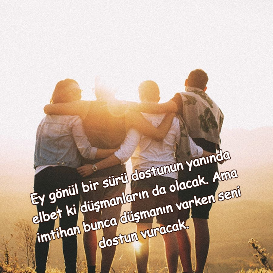 dostlukla ilgili sözler indir