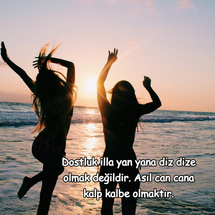 dostlukla ilgili sözler