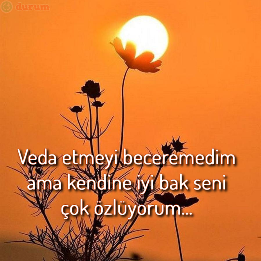 duygusal elveda mesajlari