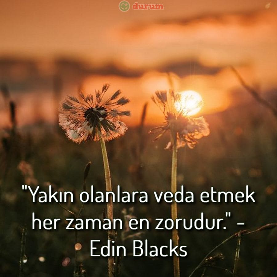 duygusal elveda sözleri indir