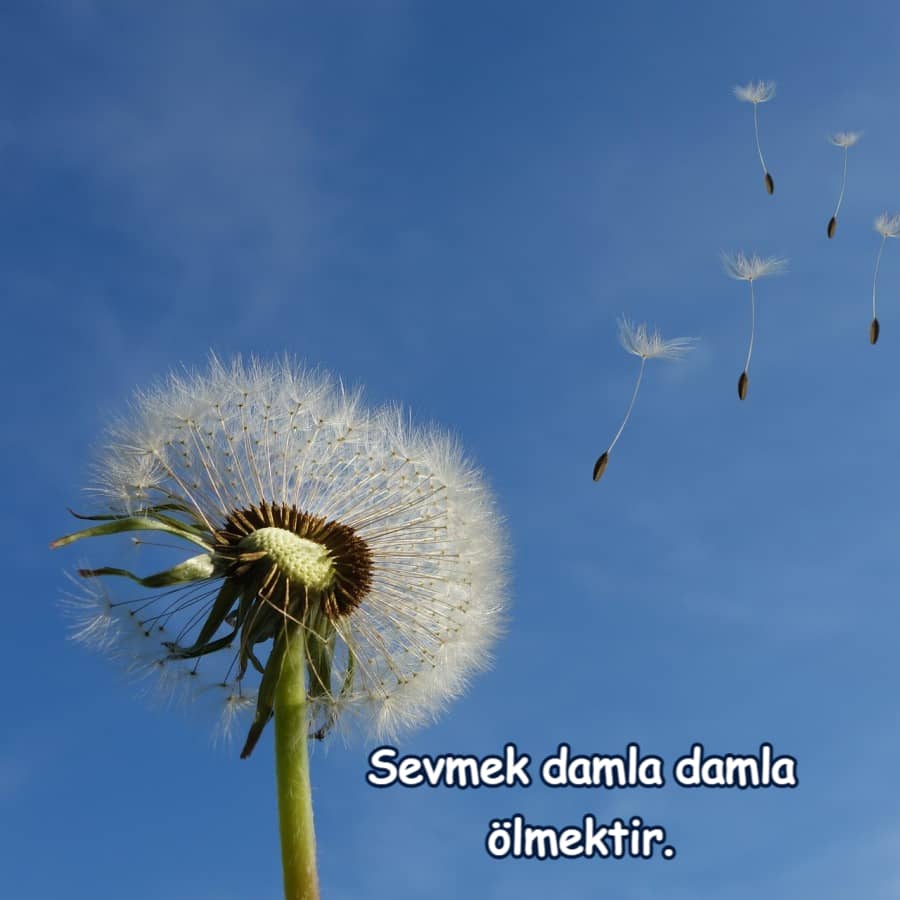 Duygusal Sözler