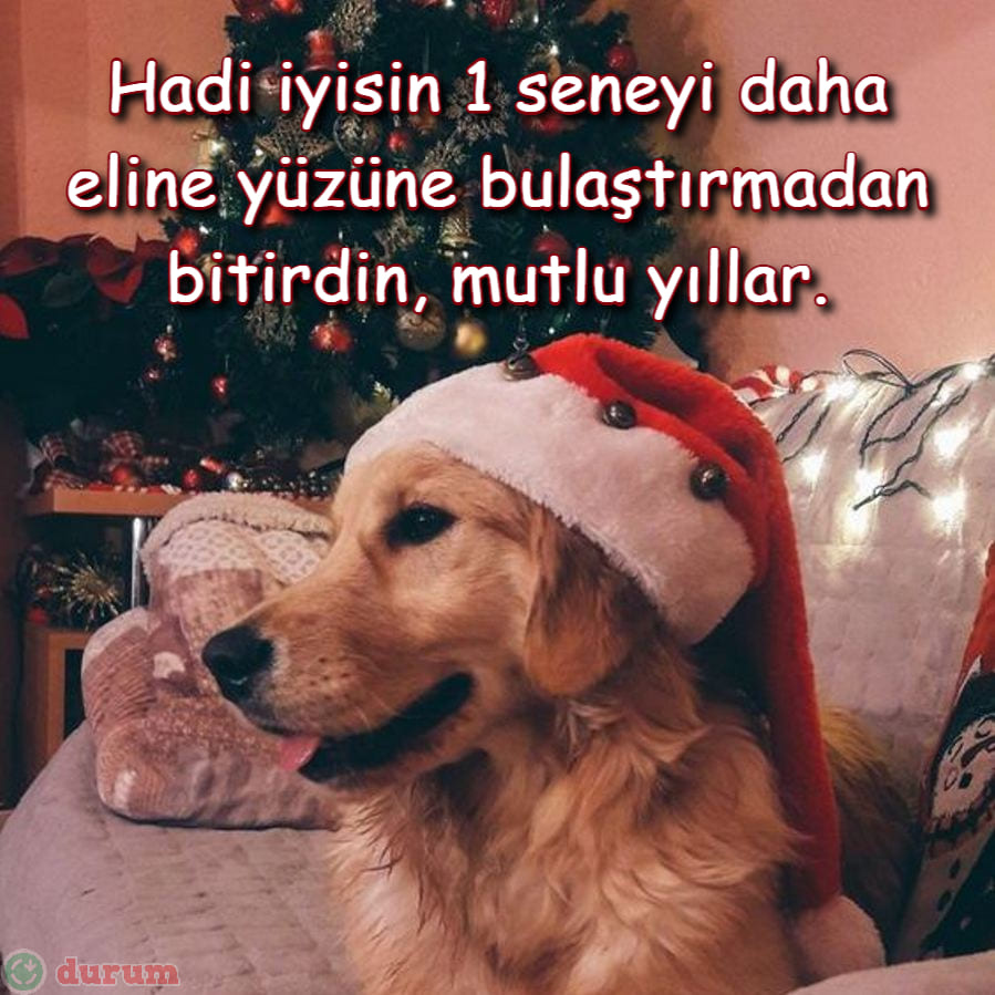Eğlenceli yılbaşı mesajları
