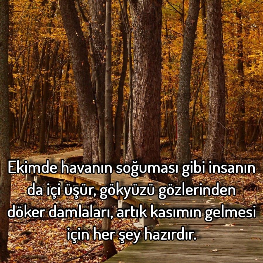 Ekim geldi hoş geldi