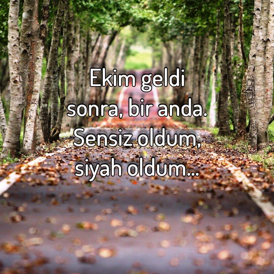 Ekim geldiu