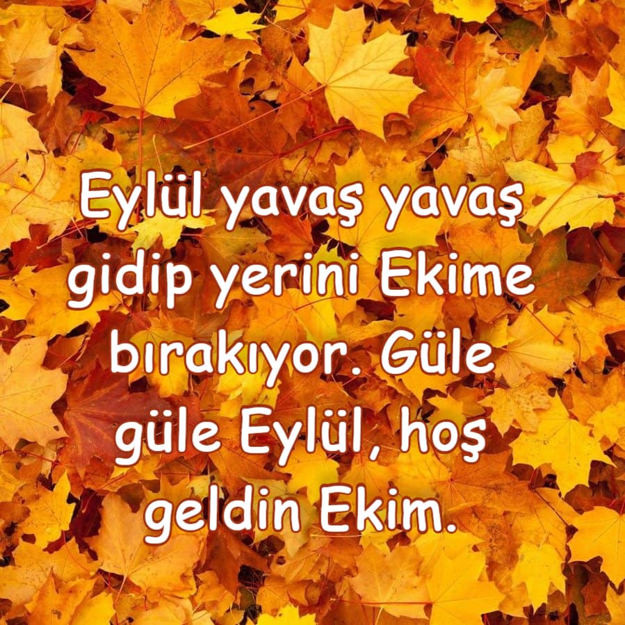 Ekim hoşgeldin