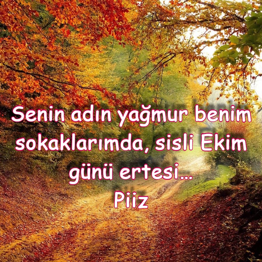 Ekim Piiz