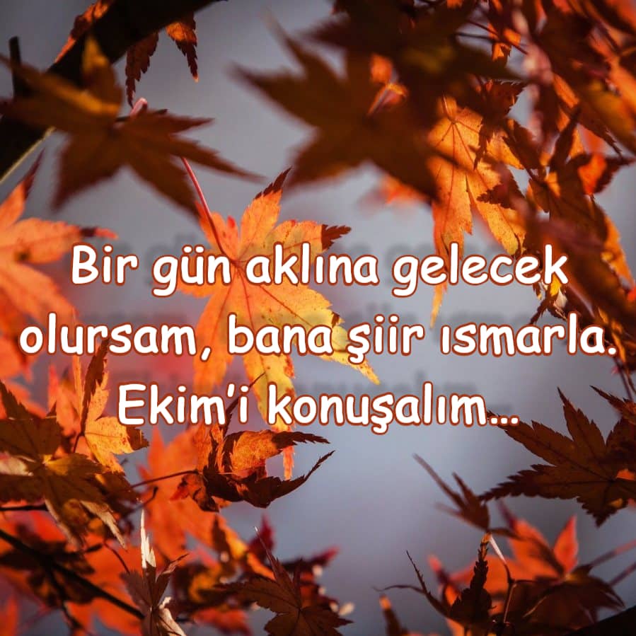 Ekimi konuşalım