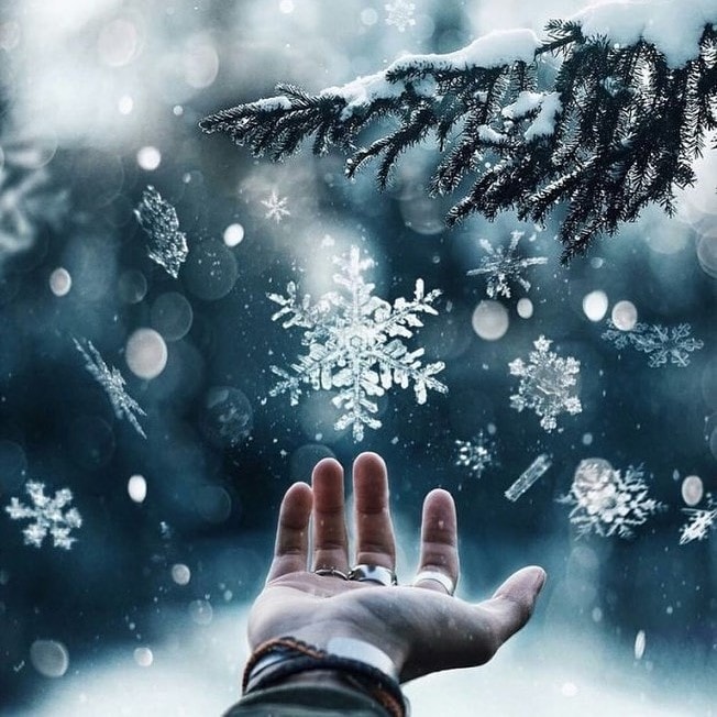 el ve noel ağacı