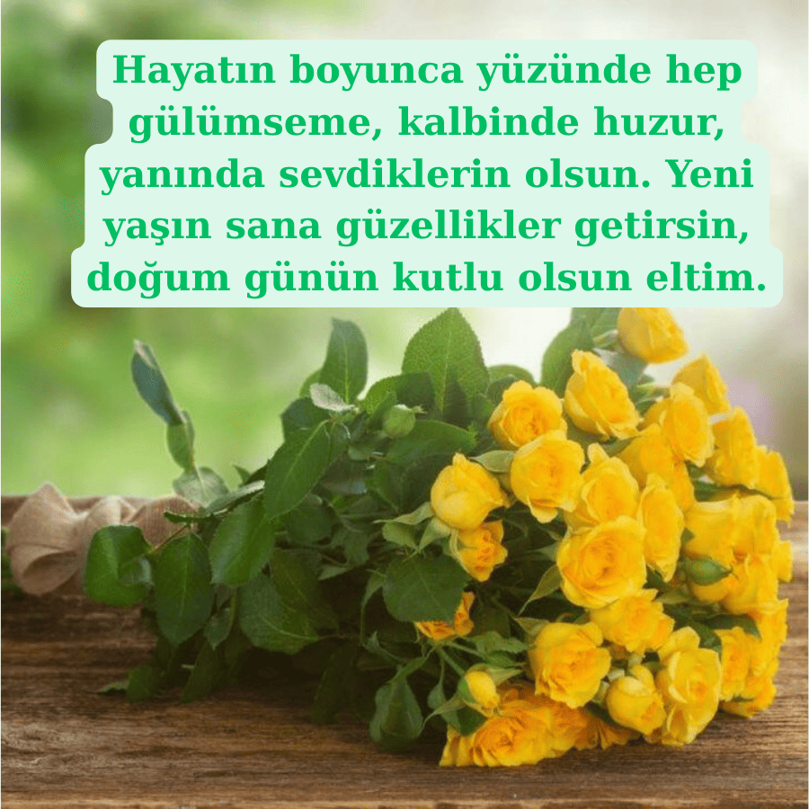 Eltiye Anlamlı Doğum Günü Mesajları