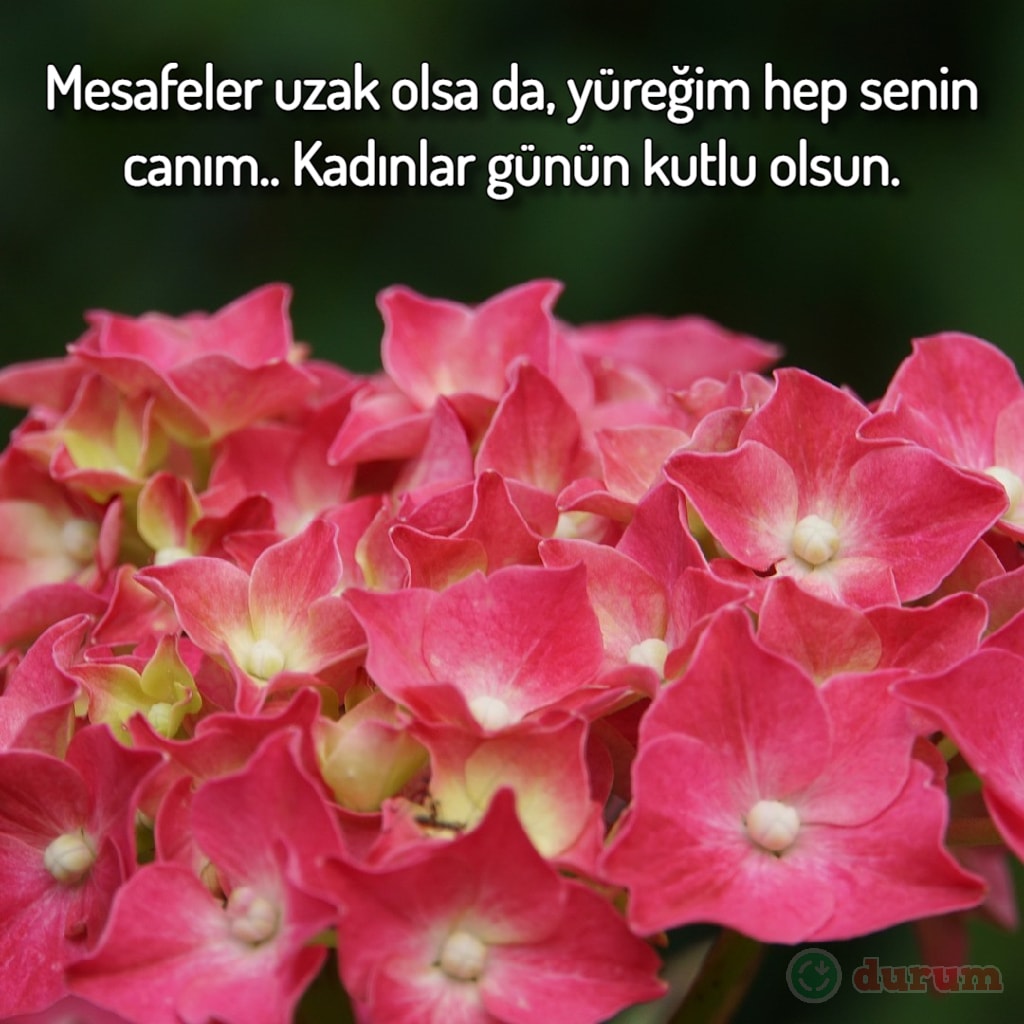 en güzel 8 mart tebrikleri