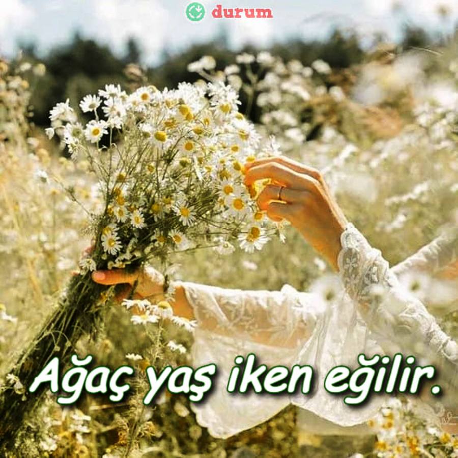 en guzel atasözleri ve anlamları