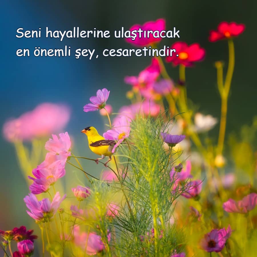En Güzel Durum Sözleri