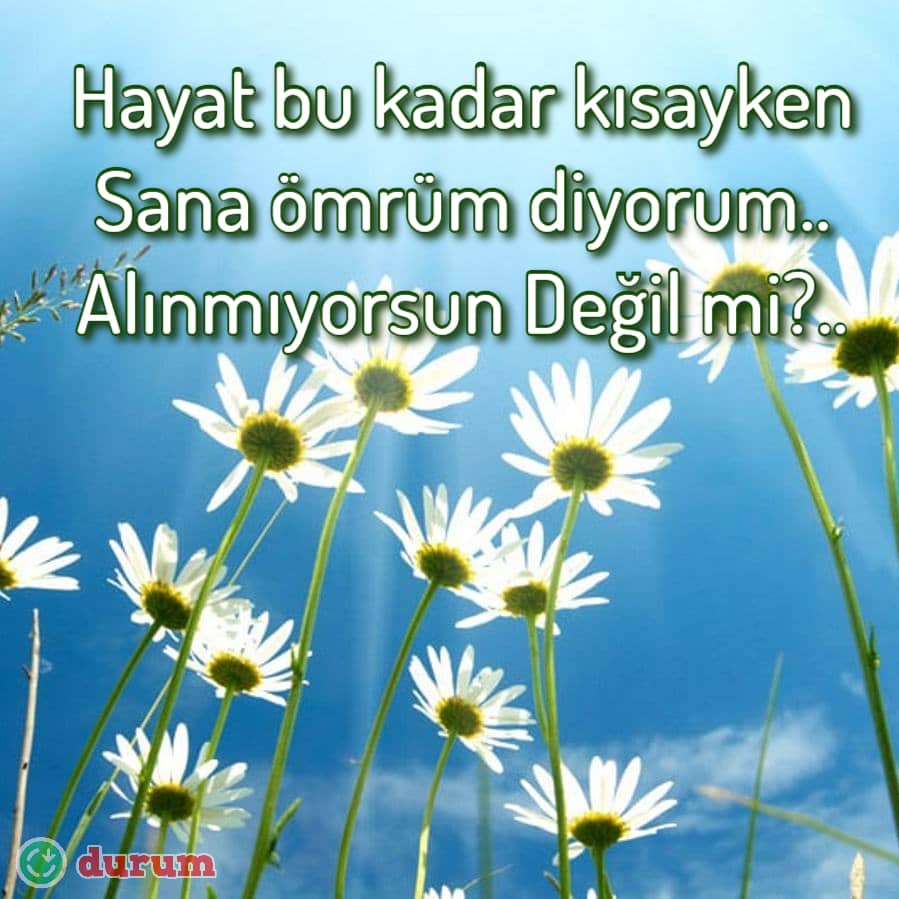 En güzel hayat sözleri