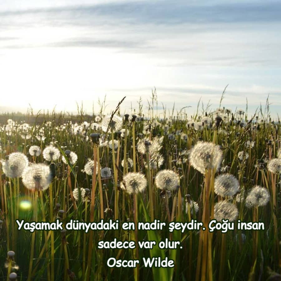 En güzel hayat sözleri