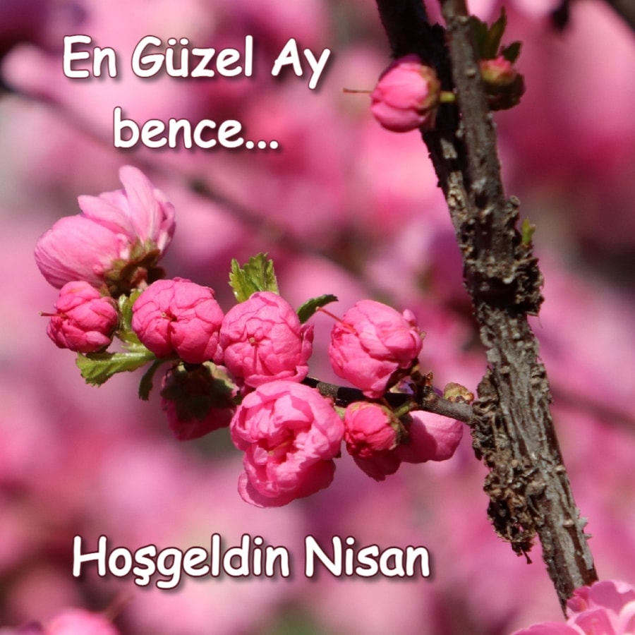 En Güzel Hoşgeldin Nisan