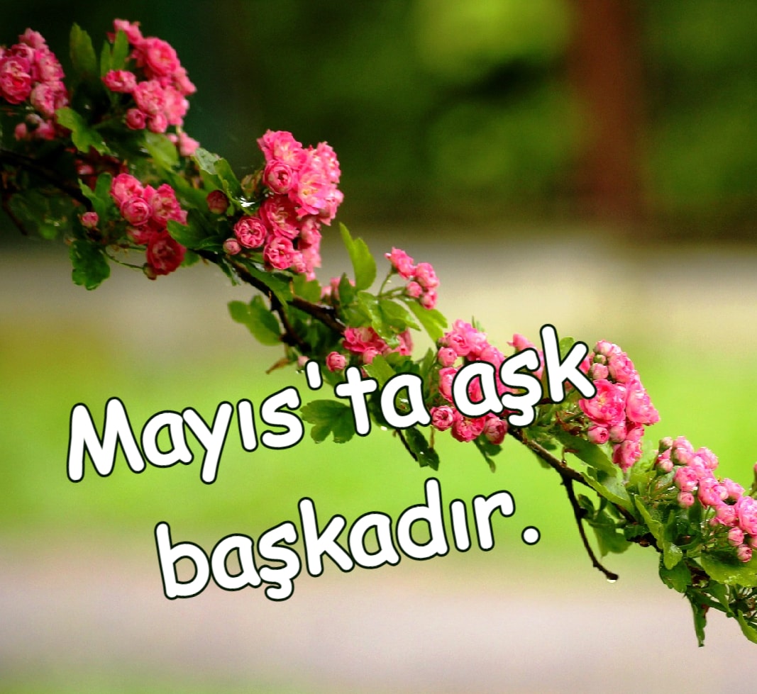 En Güzel Mayıs Ayı Sözleri