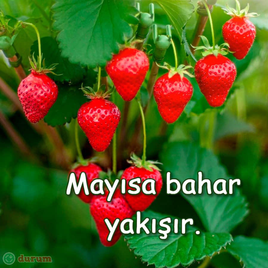En Güzel Mayıs sözleri