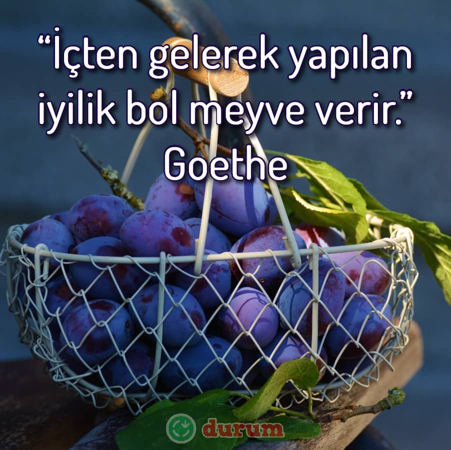 En güzel meyve ile ilgili sözler