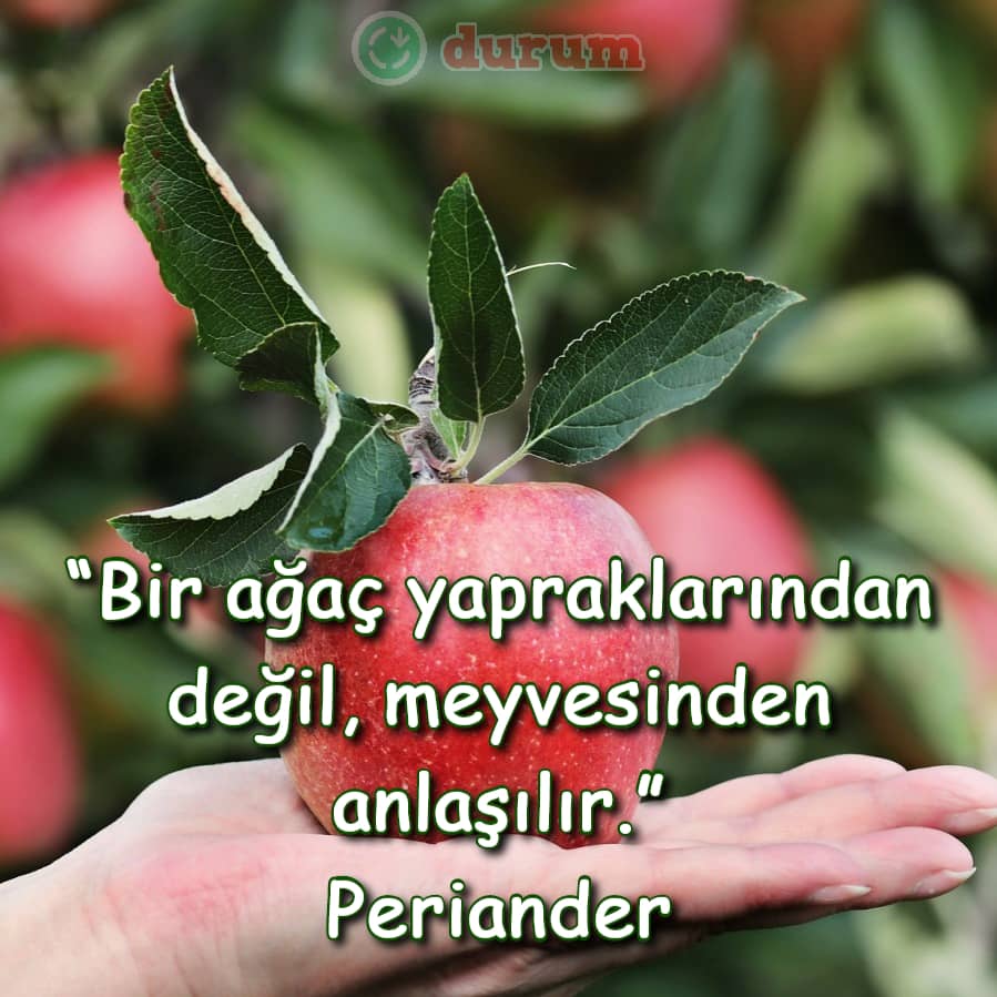 En güzel meyve ile ilgili sözler