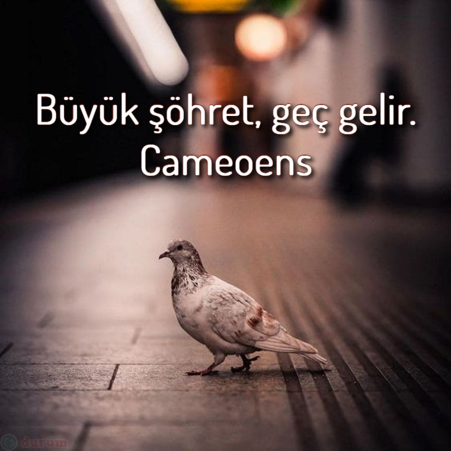 En güzel şöhret sözleri