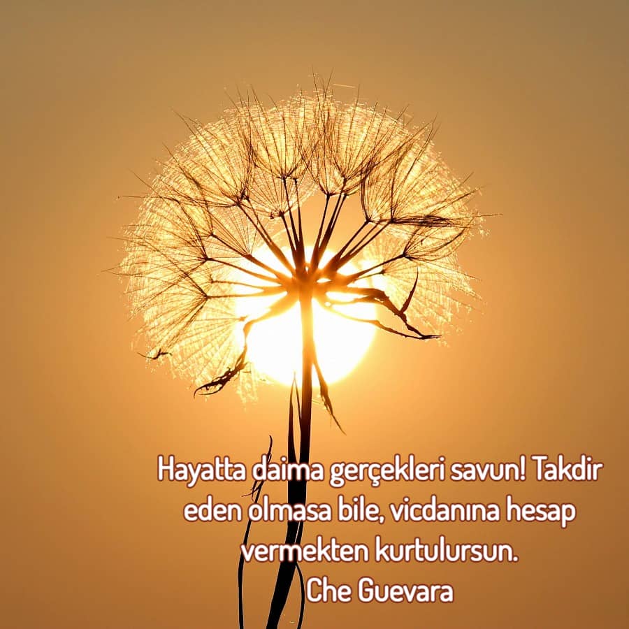 En iyi durum mesajları