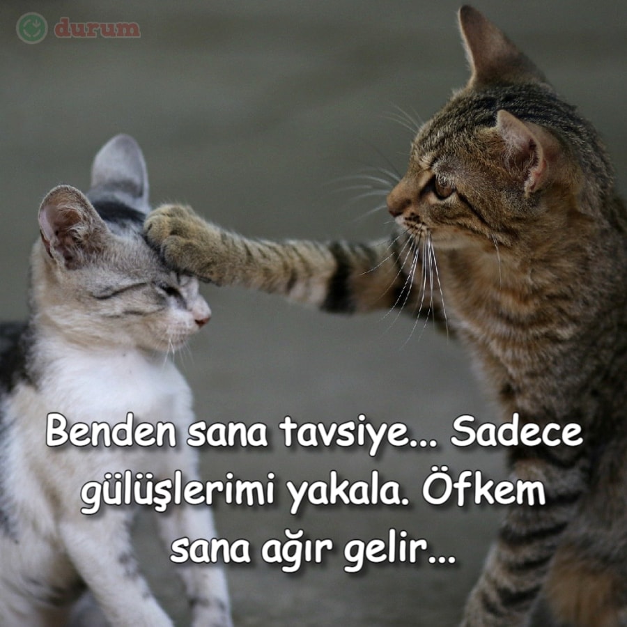 En Iyi kapak sözler