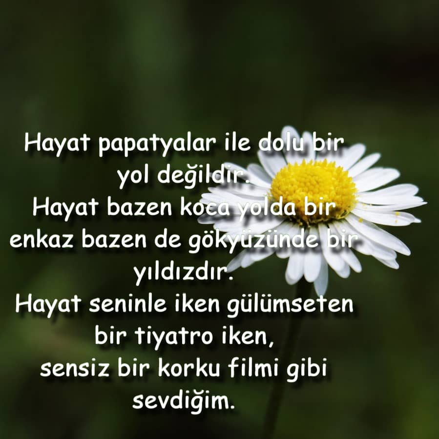 En iyi Romantik Aşk Şiirleri
