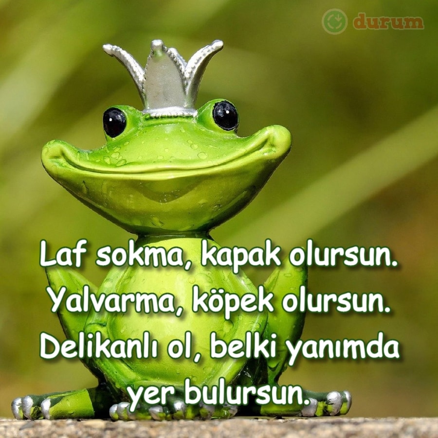En Iyi Sert sözler