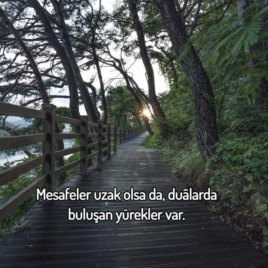 En iyi Whatsapp Sözleri