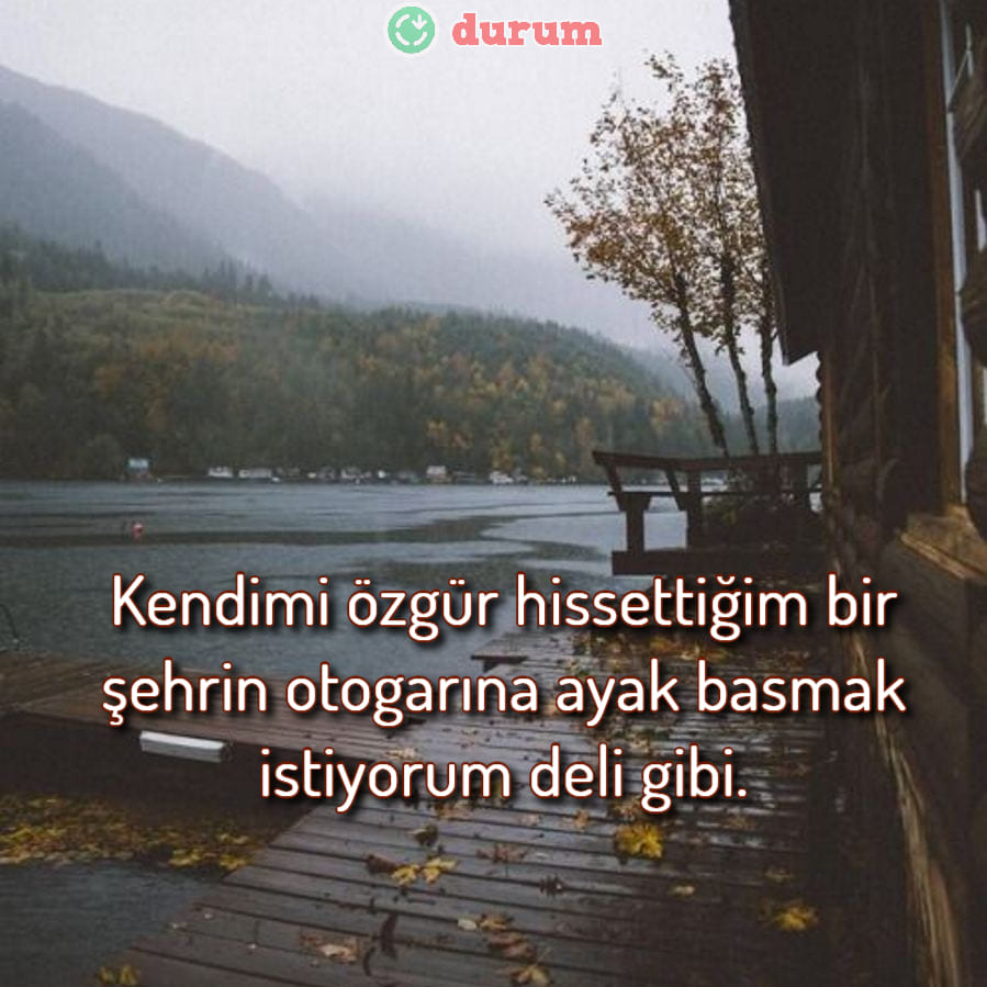 en yeni Acılı Sözler Damar