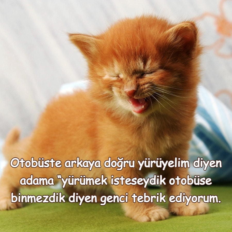  En Yeni Komik Resimli