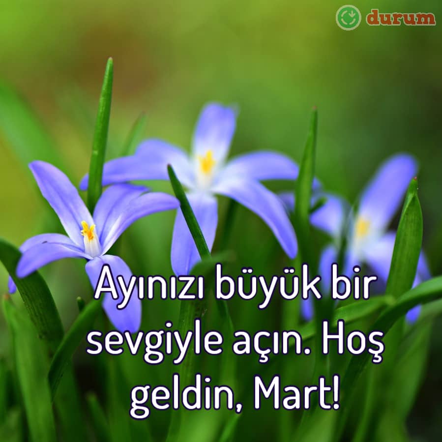 En yeni mart ayi sozleri