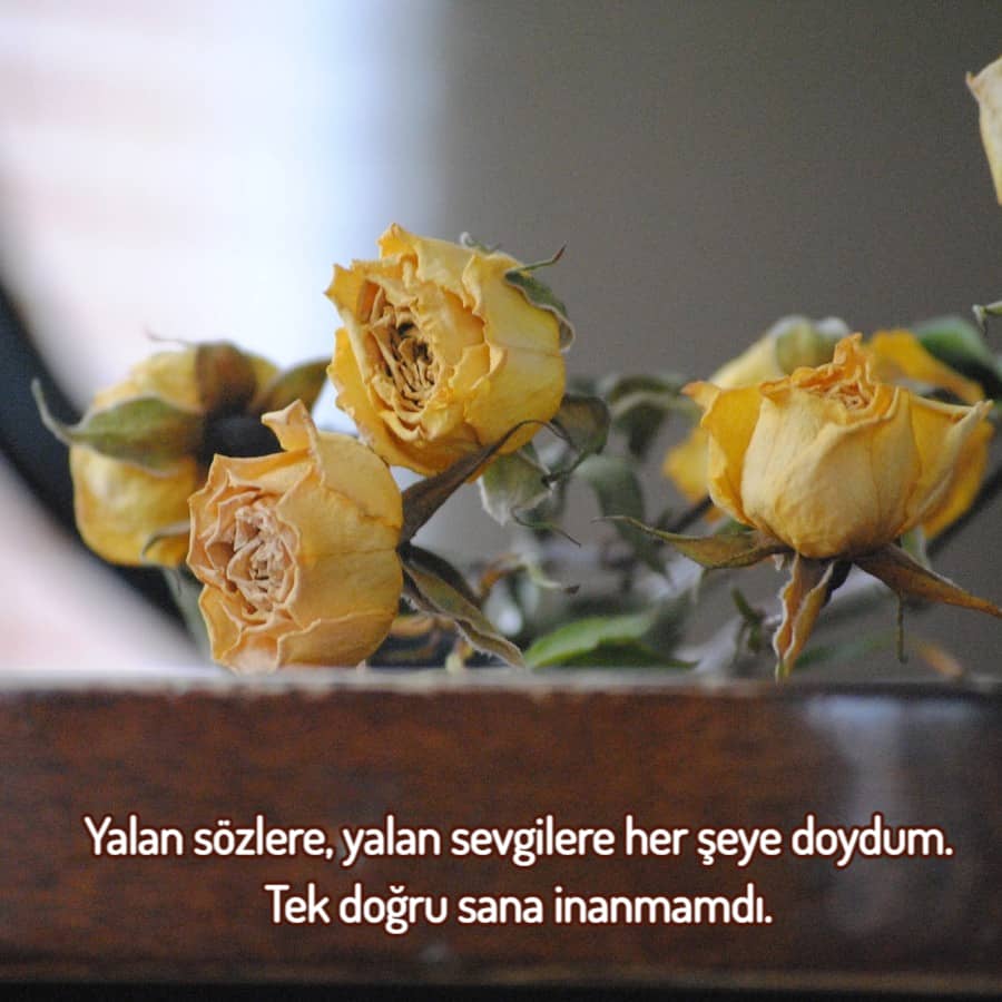 Eski Sevgiliye Ağır Sözler Durum Resimleri